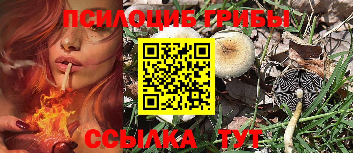 Галлюциногенные грибы ЛСД  Вход с VPN  Королёв 